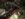 DC1CFAD6-890F-4989-8EAE-FF9C86E0D2C3.jpeg