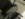 3DD90046-5A95-4431-B546-BA2D481F53C7.jpeg