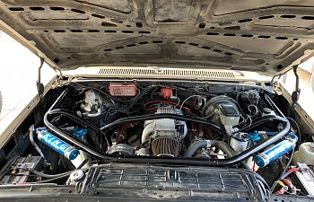 11303183-69C9-473F-8E51-EEC702250CA0.jpeg