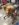 D20728F0-77AF-43D2-9981-CD0EE4053A0E.jpeg