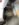 B82B226B-94DF-414C-B3C2-A83BED655E65.jpeg