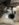 510566AF-9AC2-41A0-B405-B86FEB8A63D3.jpeg