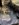 822205F3-FD18-4144-8333-C5C612A9BAF6.jpeg