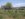 l_be1ff058324f29eec2bbfadd2d518ec7.jpg