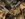 5D8B1D27-B11D-449F-93F3-614229D52A10.jpeg