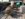0FA48019-6141-413F-9E05-E99FD016BA50.jpeg