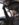 147440DB-222D-4453-AF4F-DCE1B57A1C29.jpeg
