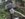 91587785-1CDF-4B0D-9126-9402CCCD547E.jpeg