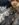 909346DC-E297-4E25-AF1E-EE9AC9ED986F.jpeg