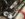 CB7F4FD4-290C-4FB8-83E5-AE1EE3D242D1.jpeg