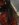11AC1256-1ACB-45D8-A960-6B552689A19E.jpeg