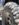 D8627BD1-8F18-466C-B6A1-93283BF86FBD.jpeg
