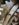 10787A88-5685-44AF-8B75-0D7AEF9C8D1F.jpeg