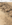 32FA0880-F818-4529-893A-ECA67DC7D0B5.png