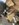 326B6D8A-EBB7-4429-B997-B24329AFCFBF.jpeg