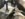B6D616D5-BDBB-4F5E-8634-B88CAA5D2BA2.jpeg