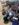 8794F754-DD0B-4017-AB90-8615130769CE.jpeg