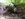received_353580308889119.jpeg received_353580308889119.jpeg
