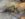 C1DB13E3-3F6E-4035-A498-324D75522624.jpeg