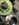4D19655E-94E2-4036-8FC3-9CC4B7DE7BBD.jpeg
