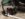 73733836-DAB2-453D-8E11-7957C4D29704.jpeg