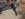 F8439505-8171-4FFE-AD56-99AD9C9B9EB9.jpeg