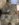 00ED891C-91C5-4DF3-A5EF-BE0FE16ED444.jpeg
