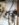 8BA9733D-8F9E-46C6-882A-9414CE713944.jpeg