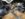 DA4ACEE3-6249-45ED-B2DE-AA1750DD7182.jpeg