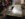 F47B371E-8FF7-48E7-8CD9-23D9F9CF81F6.jpeg
