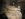 10B2C4D8-9A1D-4B16-9D02-7D719F7C1575.jpeg