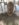 7CB5F1E4-FA3B-4FFF-8E2B-AA51F51EF0F9.jpeg