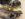 A86AF380-017C-4532-A935-0BFDC2EF0062.jpeg