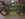 4ECAB522-CAEB-433B-8BE0-15FB60A623A9.jpeg