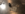 IMG_2905.PNG