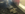 IMG_2906.PNG