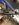 93468B2C-E617-4E1E-A185-BA5C28297E09.jpeg