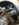 5EE3D25A-FC82-433E-89CF-A2BECF8CC5B7.jpeg
