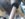 20190810_130251.jpg
