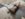 20190810_153127.jpg