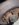 Resized952019081095135355.jpg