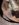Resized952019081095135359.jpg
