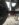 50D9712A-CC74-4F7A-BD32-DA300C71F7E1.jpeg