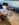 9393F9B7-6F4D-4F25-BA22-F8C3C248BF7A.jpeg