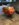 31CC5ED5-3DEE-4D7F-B540-A5FC7FE142A6.jpeg