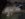 C22B3AA2-0ADB-47AF-A1DA-7C73F266CE46.jpeg