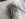 96ABB54B-950F-45A8-8FE8-17CD78E3F846.jpeg