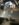 EE576514-C72B-4A08-89B6-D39429F7D58E.jpeg
