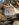 BE087EF4-93C6-451E-BB72-701B4ADC37D6.jpeg