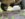 fullsizeoutput_2360.jpeg
